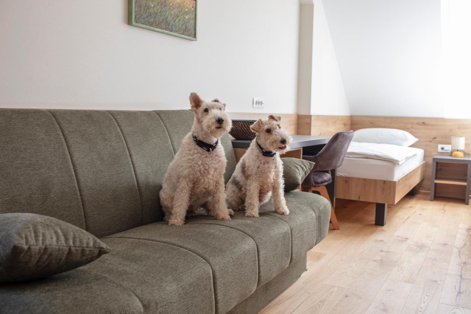 Guesthouse Tursic Vrhnika Eksteriør bilde